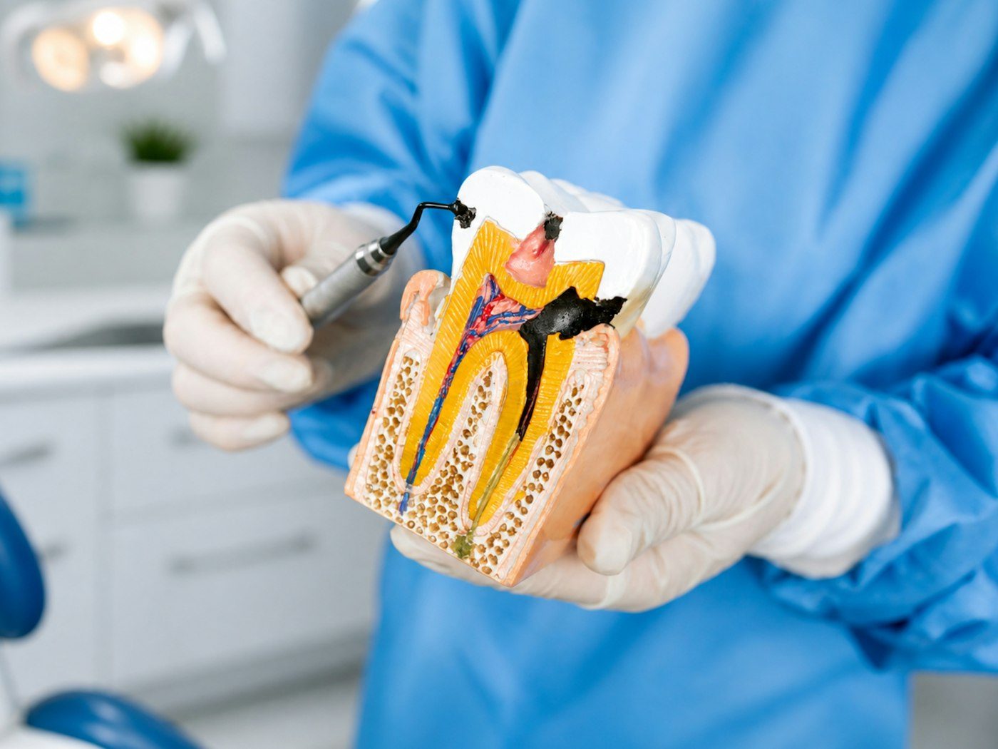 Especialista explicando un tratamiento con un modelo dental